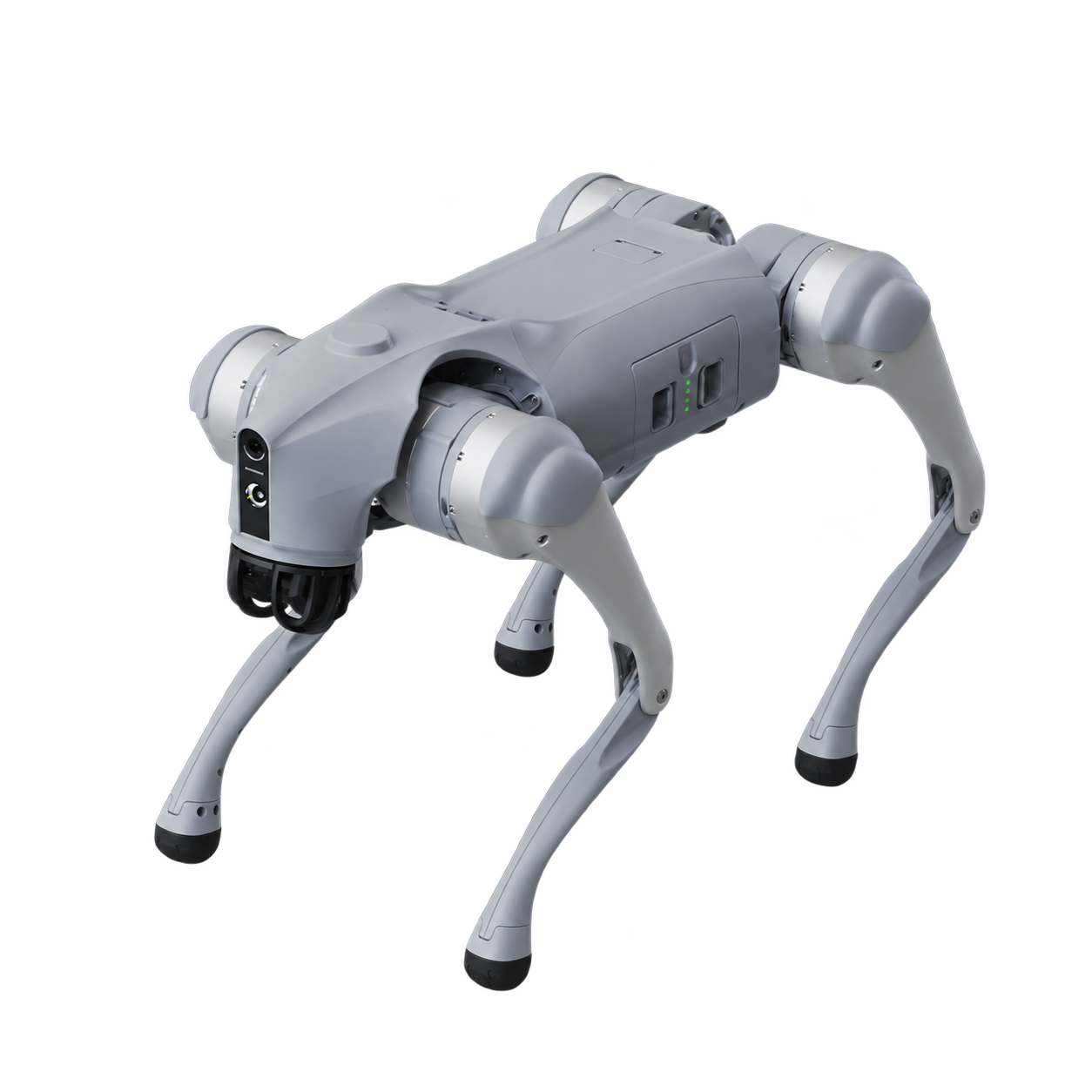 Shadow, Farhan’s robot dog